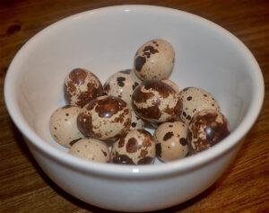 quail eggs