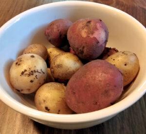 how to plant potatoes