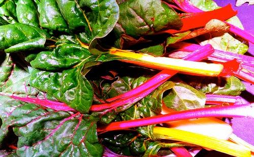 grow swiss chard
