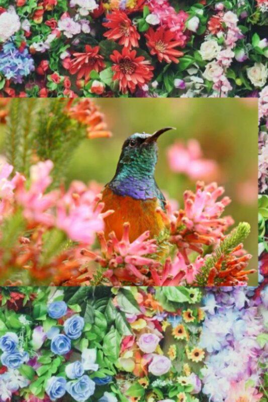 Hummingbird Journal for Writing: Botanical Garden