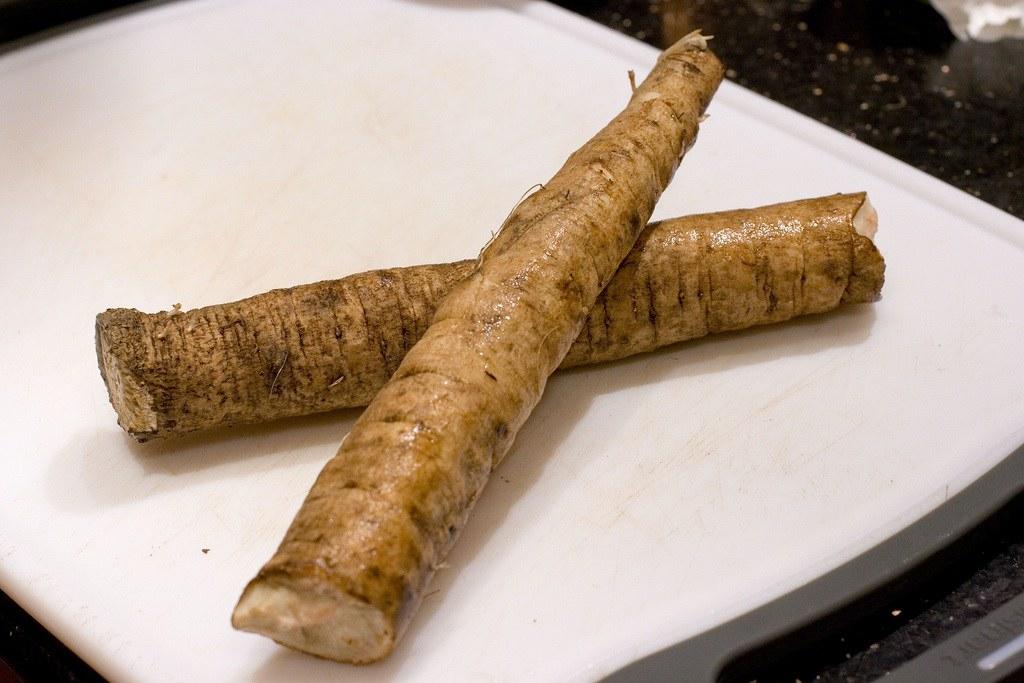 how to grow burdock root