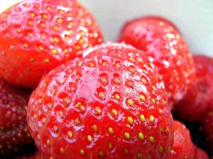 grow strawberries