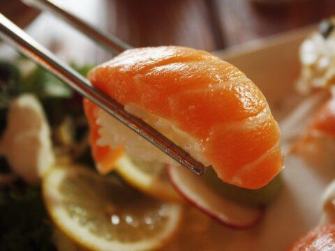 salmon sushi restaurant japanese 1353598