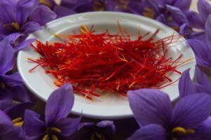 saffron spice pistils 2835249