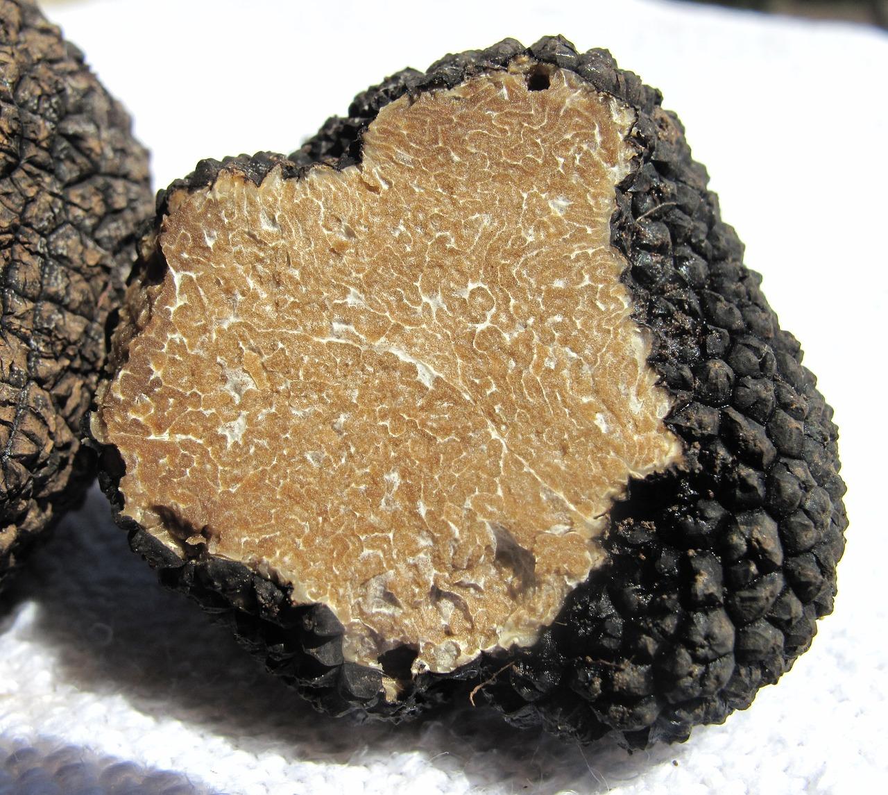 truffle real truffle mushroom 203031