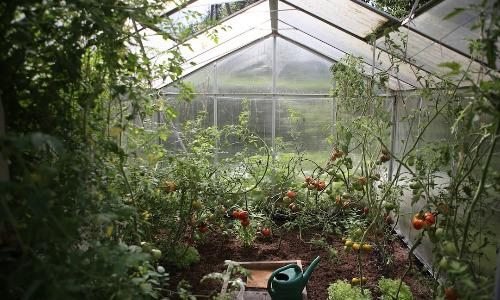 The Pros and Cons of Using a Greenhouse on Your Homestead