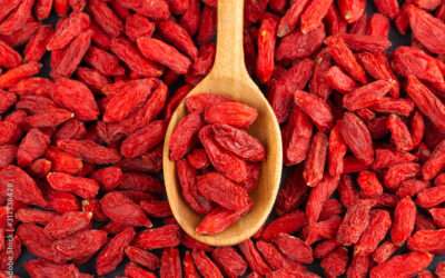 Spoon with Goji berries over red goji background. Healthy food concept.