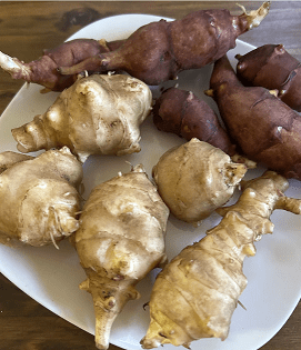 The Versatile Jerusalem Artichoke: A Culinary Treasure