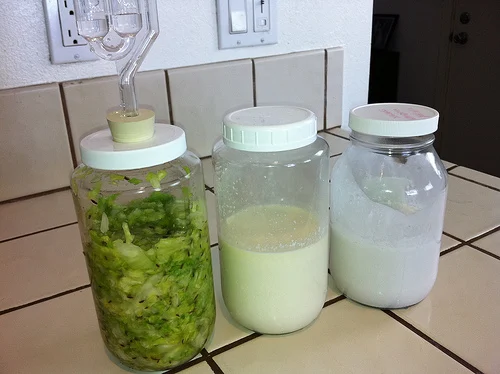 How to Make Coconut Kefir – 6 Steps to Make a Great Fermented Beverage