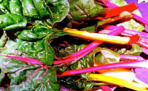 How to Grow Swiss Chard Step-by-Step Guide