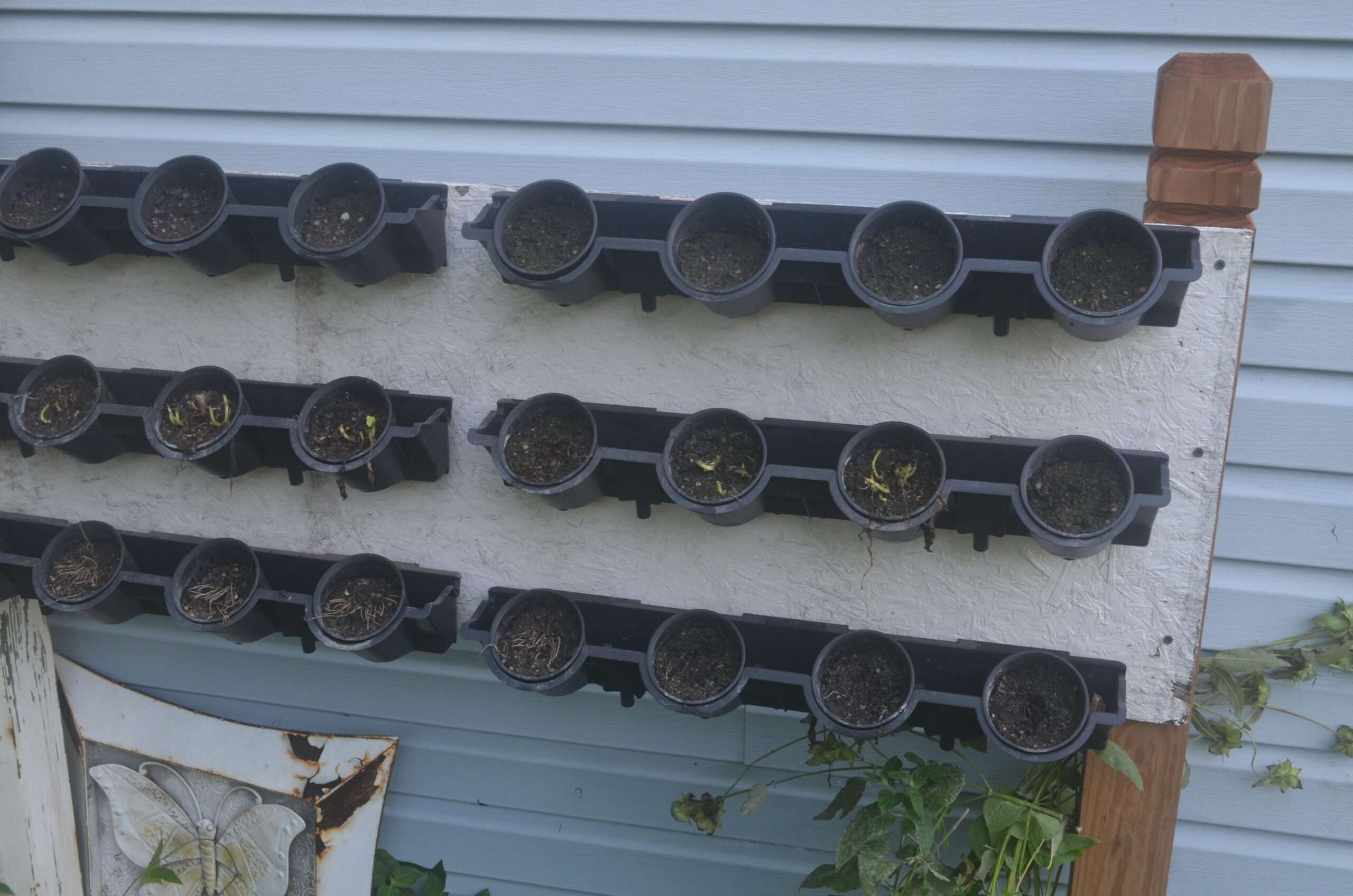 How to Grow a Vertical Arugula Garden Outdoors