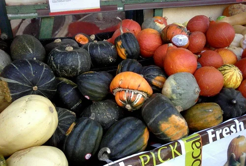 How to Grow Winter Squash