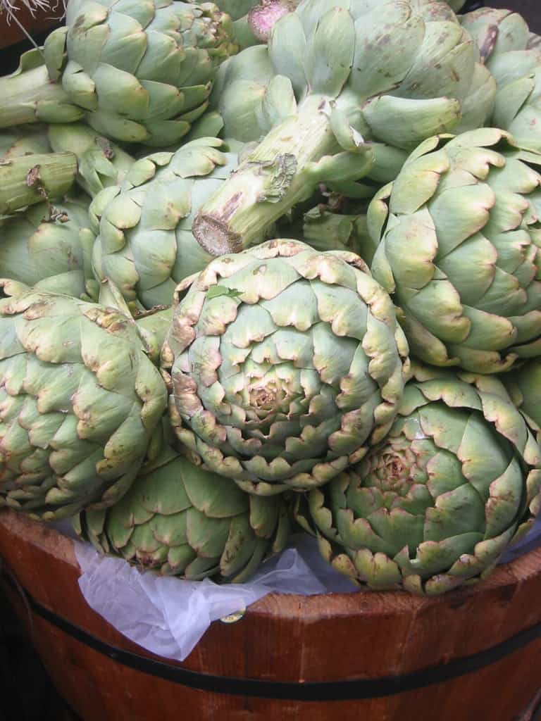 How to Grow Artichokes: A Comprehensive Guide for Gardeners