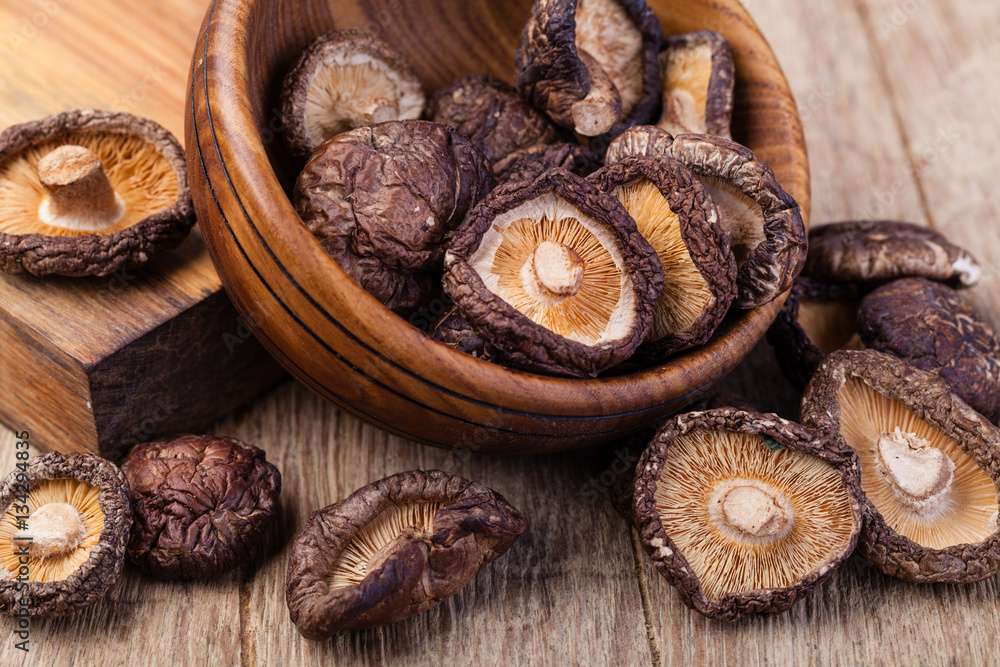 First Shiitake Mushroom Harvest: Growing Great Mushrooms