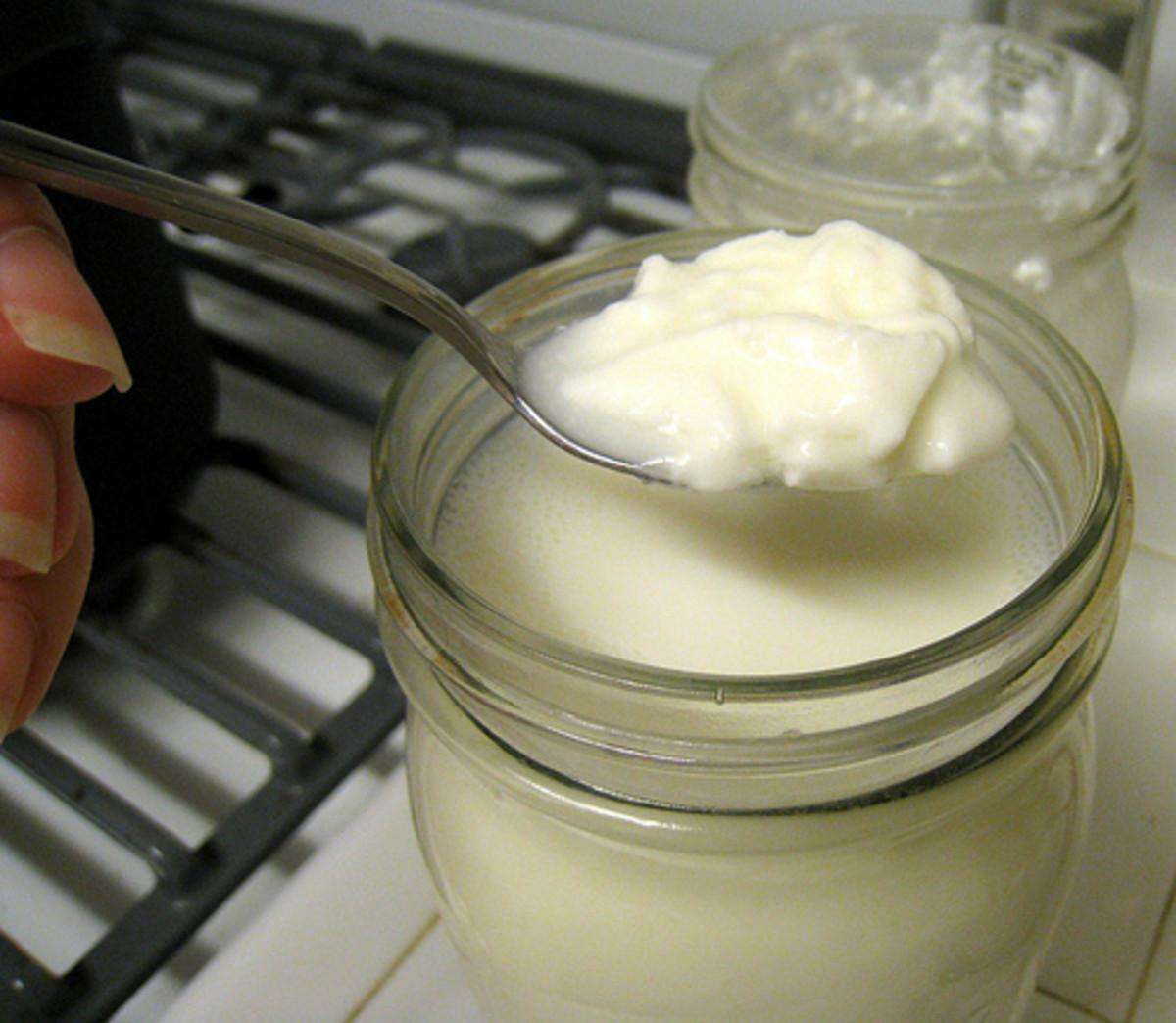 How to Make Filmjolk Yogurt – Step-by-Step to Make the Best Yogurt