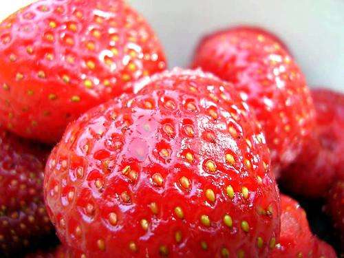How to Grow Strawberries: Tips for a Bountiful Harvest