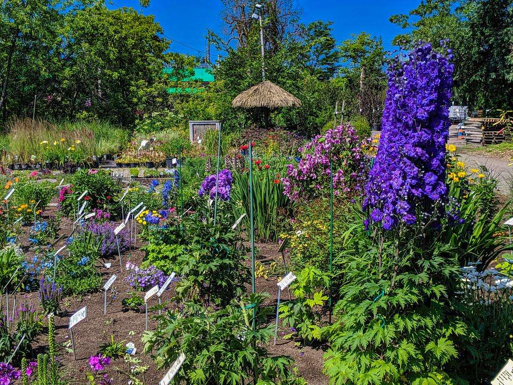 Creating the Perfect Garden Calendar: A Guide to Planting, Harvesting, and Seed Saving