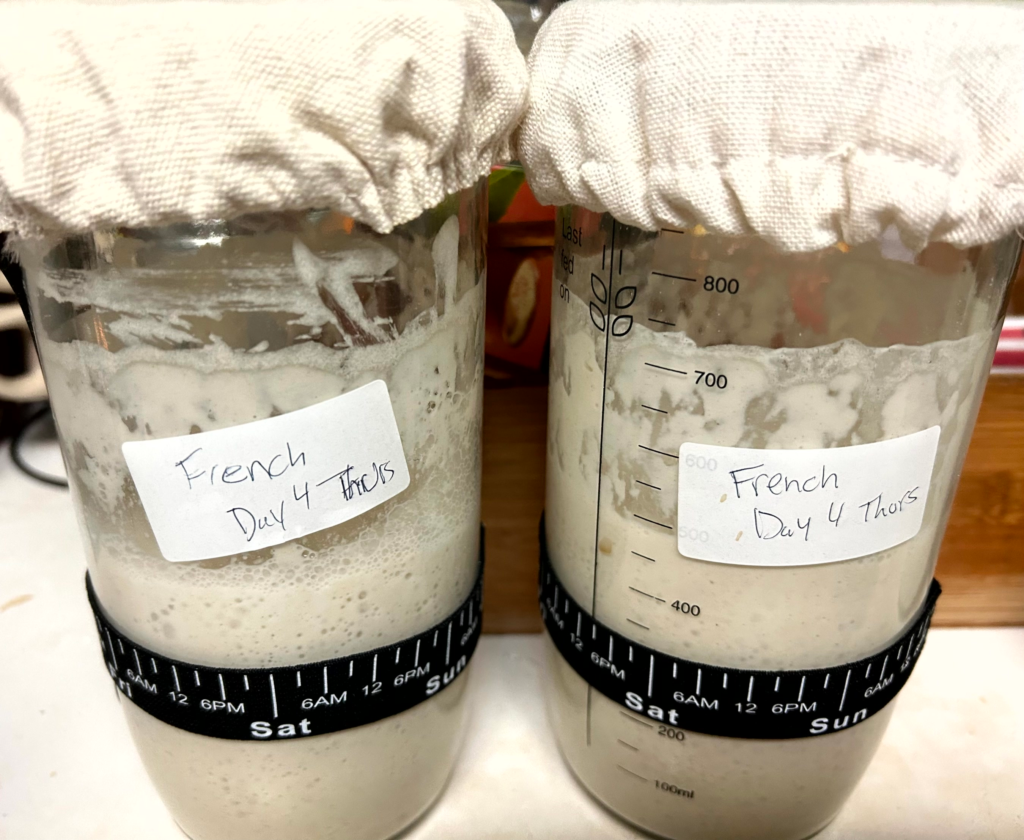 how to store sourdough starter