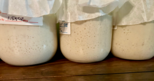 heirloom sourdough starters