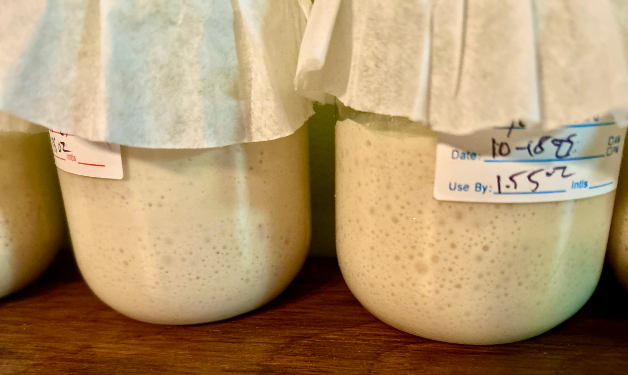 Heirloom Sourdough Starters vs. New Cultures: Why Rehydrating Is Different from Creating Your Own