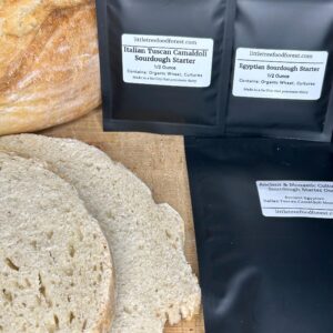 Ancient & Monastic Cultures Sourdough Starter Duo | Egyptian and Tuscan Camaldoli Monastery