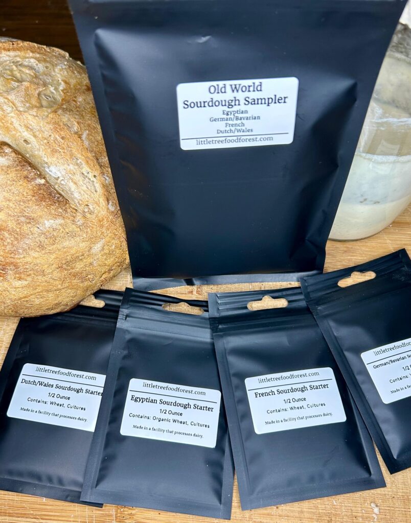Old World Sourdough 4 Starter Combo | Egyptian, German/Bavarian, French & Dutch/Wales, Dehydrated Artisan Starters