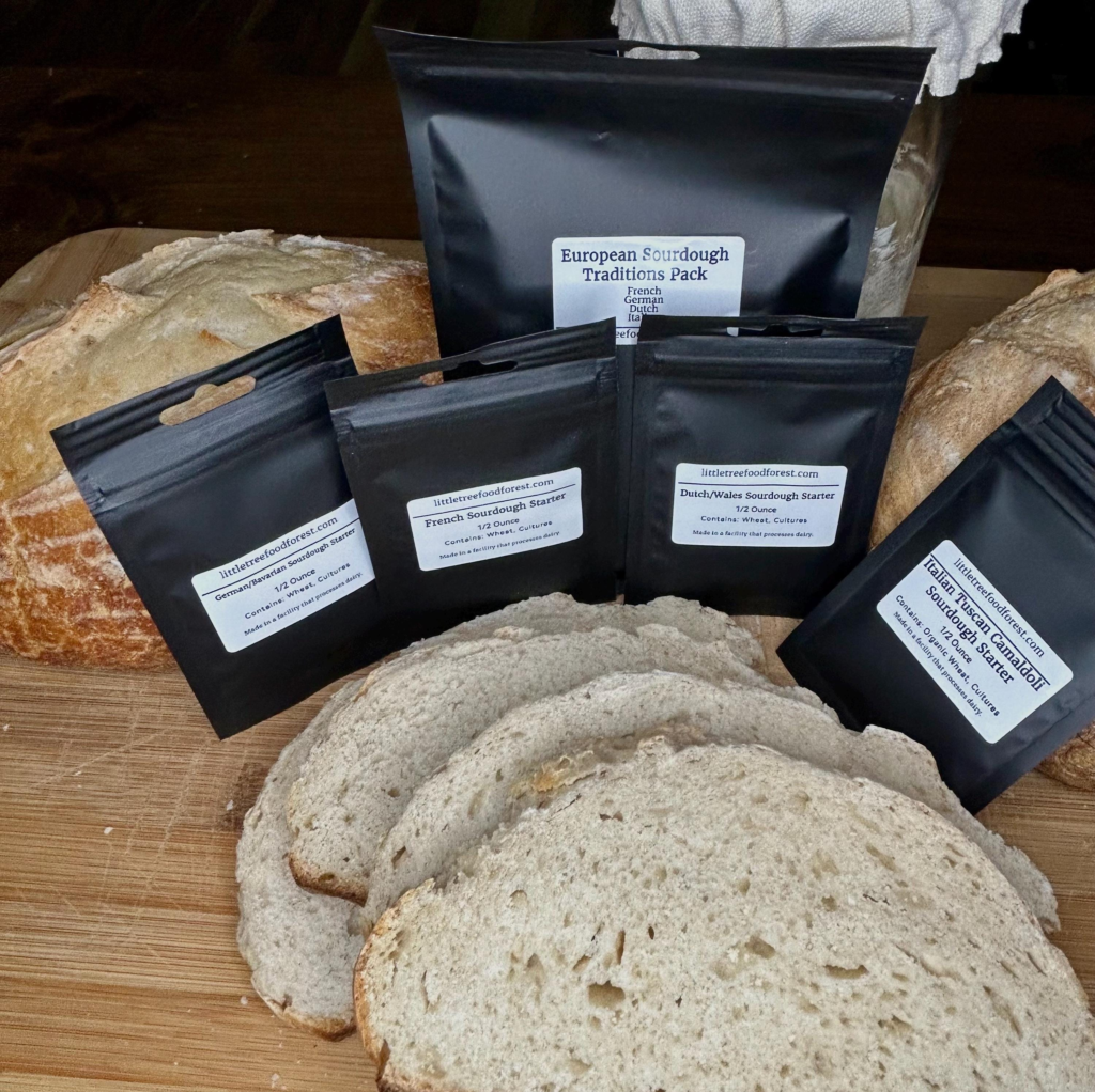 European Sourdough Traditions Pack | 4 Artisan Starters – French, German, Wales, Italian