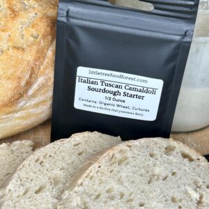 Sourdough Starter