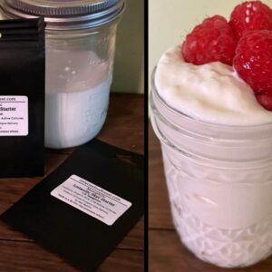 Icelandic Skyr Yogurt Starter Culture | Traditional Mesophilic | Dehydrated & Easy to Use